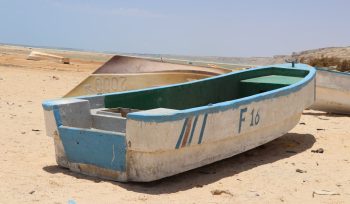 white and green canoe on brown sand during daytime