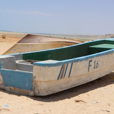 white and green canoe on brown sand during daytime